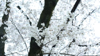 こんな時だからこそ。